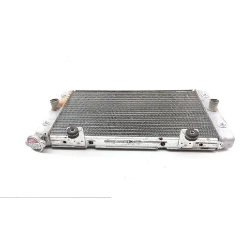 Engine Radiator Cooling 2013 Yamaha Rhino 700 YXR700F 4x4 FI 1828A 7