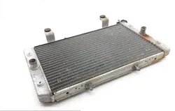 Engine Radiator Cooling 2013 Yamaha Rhino 700 YXR700F 4x4 FI 1828A