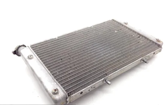 Engine Radiator Cooling 2012 Yamaha Rhino 700 YXR700F 4x4 FI 1831A