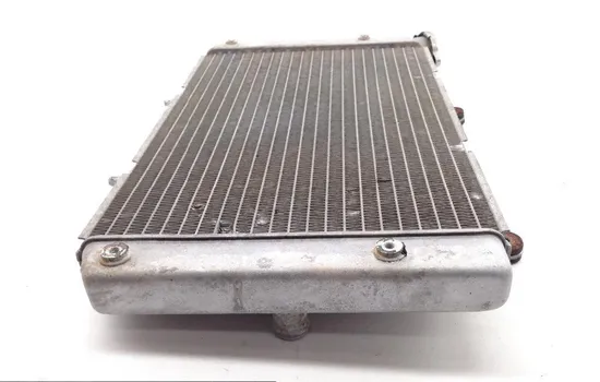 Engine Radiator Cooling 2012 Yamaha Rhino 700 YXR700F 4x4 FI 1831A