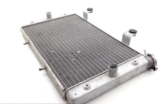 Engine Radiator Cooling 2012 Yamaha Rhino 700 YXR700F 4x4 FI 1831A