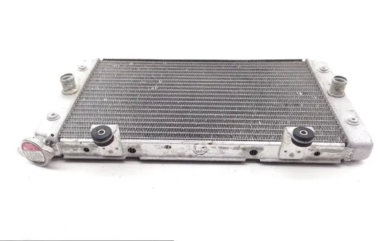 Engine Radiator Cooling 2012 Yamaha Rhino 700 YXR700F 4x4 FI 1831A