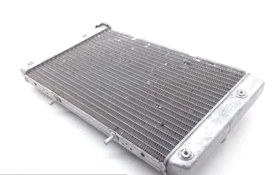 Engine Radiator Cooling 2013 Yamaha Rhino 700 YXR700F 4x4 FI 1827A