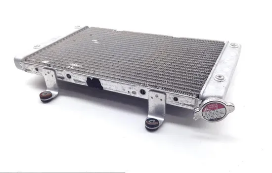 Engine Radiator Cooling 2013 Yamaha Rhino 700 YXR700F 4x4 FI 1827A