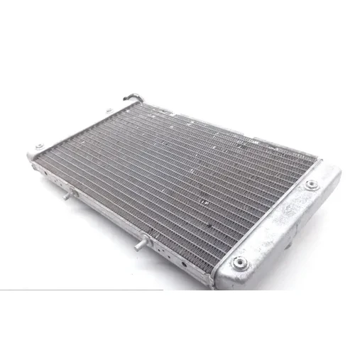 Engine Radiator Cooling 2013 Yamaha Rhino 700 YXR700F 4x4 FI 1827A 5