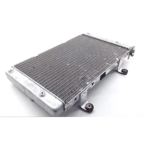 Engine Radiator Cooling 2013 Yamaha Rhino 700 YXR700F 4x4 FI 1827A 8