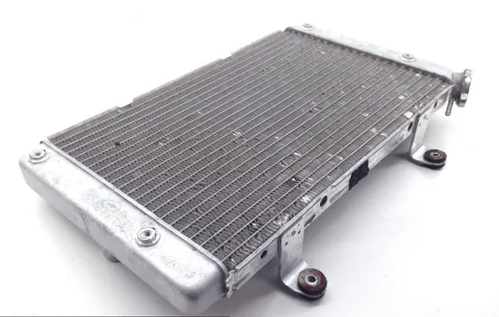 Engine Radiator Cooling 2013 Yamaha Rhino 700 YXR700F 4x4 FI 1827A