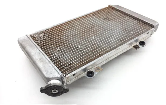 Engine Radiator Cooling 2002 Yamaha Grizzly 660 YFM660F 4x4 1873A