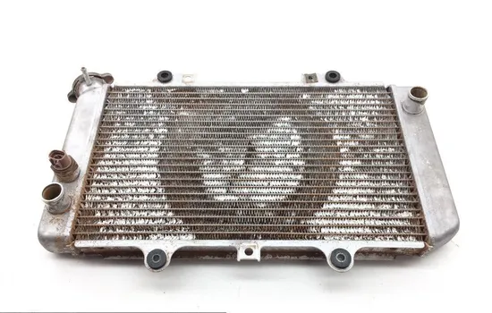 Engine Radiator Cooling 2002 Yamaha Grizzly 660 YFM660F 4x4 1873A