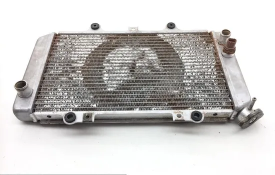 Engine Radiator Cooling 2002 Yamaha Grizzly 660 YFM660F 4x4 1873A