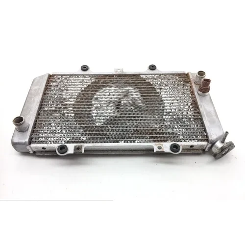 Engine Radiator Cooling 2002 Yamaha Grizzly 660 YFM660F 4x4 1873A 10