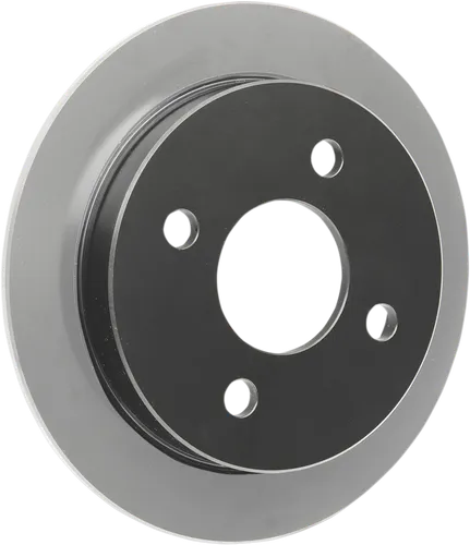 DS Cast Iron Black Fixed Rear Brake Rotor