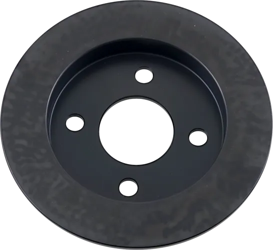 DS Cast Iron Black Fixed Rear Brake Rotor