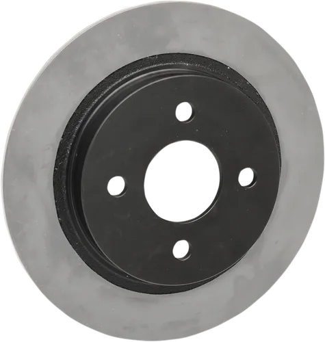 DS Cast Iron Black Fixed Rear Brake Rotor