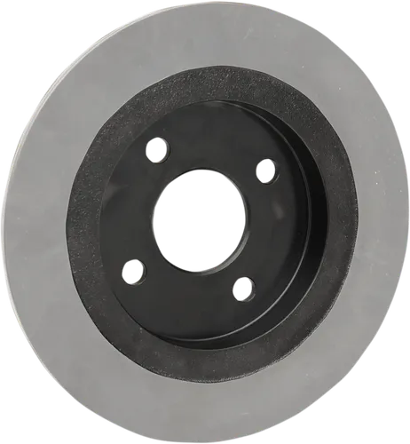 DS Cast Iron Black Fixed Rear Brake Rotor