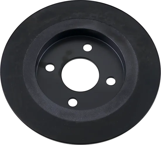 DS Cast Iron Black Fixed Rear Brake Rotor