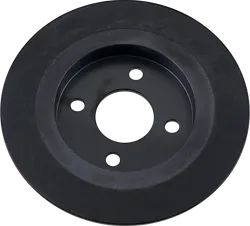 DS Cast Iron Black Fixed Rear Brake Rotor