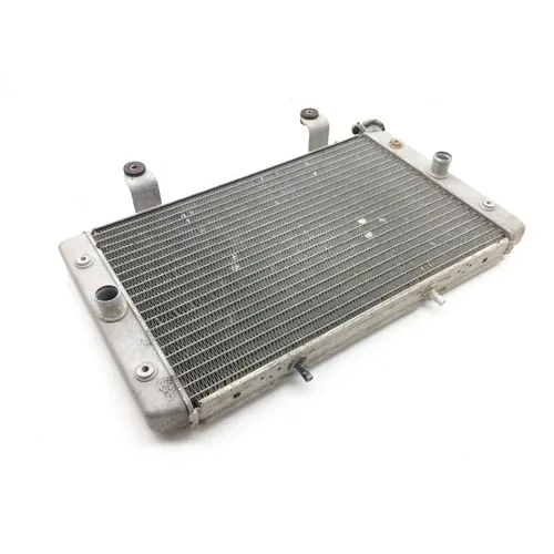Engine Radiator Cooling 2012 Yamaha Rhino 700 YXR700F 4x4 FI 1826A 9