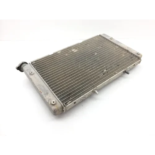 Engine Radiator Cooling 2012 Yamaha Rhino 700 YXR700F 4x4 FI 1826A 3