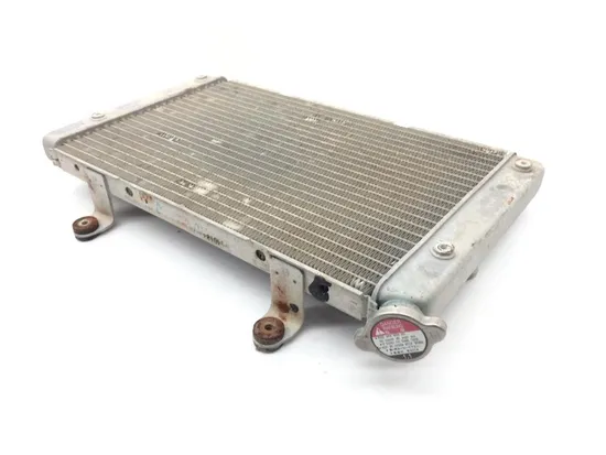 Engine Radiator Cooling 2012 Yamaha Rhino 700 YXR700F 4x4 FI 1826A