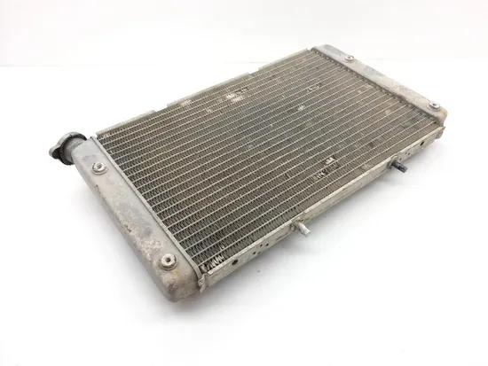 Engine Radiator Cooling 2012 Yamaha Rhino 700 YXR700F 4x4 FI 1826A