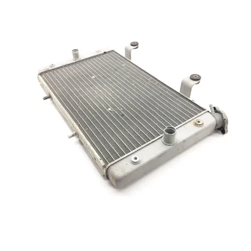 Engine Radiator Cooling 2012 Yamaha Rhino 700 YXR700F 4x4 FI 1826A 11