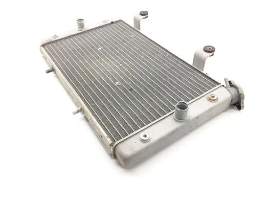Engine Radiator Cooling 2012 Yamaha Rhino 700 YXR700F 4x4 FI 1826A