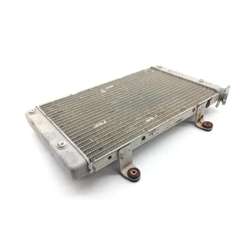 Engine Radiator Cooling 2012 Yamaha Rhino 700 YXR700F 4x4 FI 1826A 7