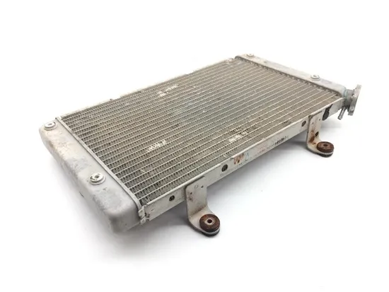 Engine Radiator Cooling 2012 Yamaha Rhino 700 YXR700F 4x4 FI 1826A