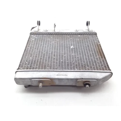 450R Engine Radiator Cooling From 2005 TRX Honda TRX450R x 12