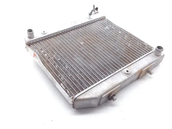450R Engine Radiator Cooling From 2005 TRX Honda TRX450R x