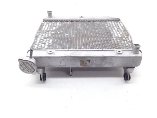 450R Engine Radiator Cooling From 2005 TRX Honda TRX450R x