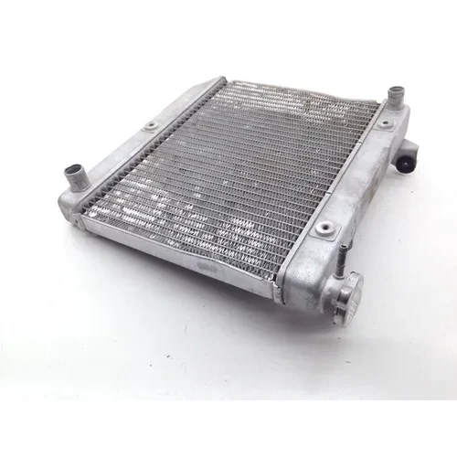 450R Engine Radiator Cooling From 2005 TRX Honda TRX450R x 9