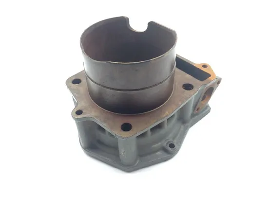 Engine Cylinder Jug 2013 John Deere Gator RSX 850i 1906A Parts