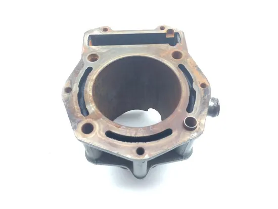 Engine Cylinder Jug 2013 John Deere Gator RSX 850i 1906A Parts