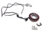 Engine Stator Generator 2008 Kawasaki Teryx 750 KRF750F 4x4 NRA 1923