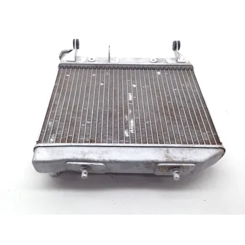 TRX 450R Engine Radiator Cooling From 2005 Honda x 12