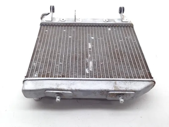 TRX 450R Engine Radiator Cooling From 2005 Honda x