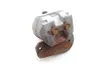 TR400ERear Brake Caliper From 2012 Honda TRX400EPARTS 1975A