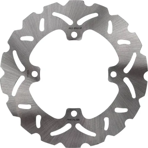 All Balls Stainless Steel Rear Brake Rotor