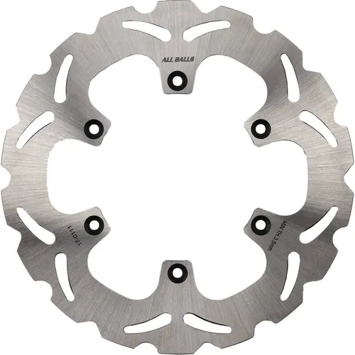 All Balls Stainless Steel Rear Brake Rotor