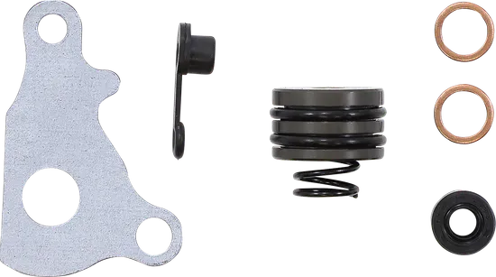 Moose Clutch Slave Cylinder Rebuild Repair Kit