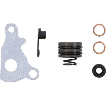 Moose Clutch Slave Cylinder Repair Rebuild Kit