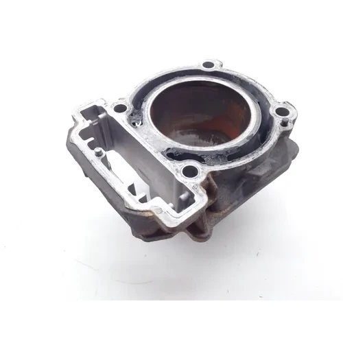 Engine Cylinder Jug Front 2015 Can-Am Outlander 650 4x4 DPS 1974 PARTS 5