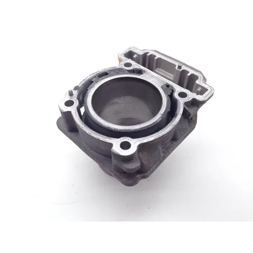 Engine Cylinder Jug Rear 2015 Can-Am Outlander 650 4x4 DPS 1974 PARTS 3