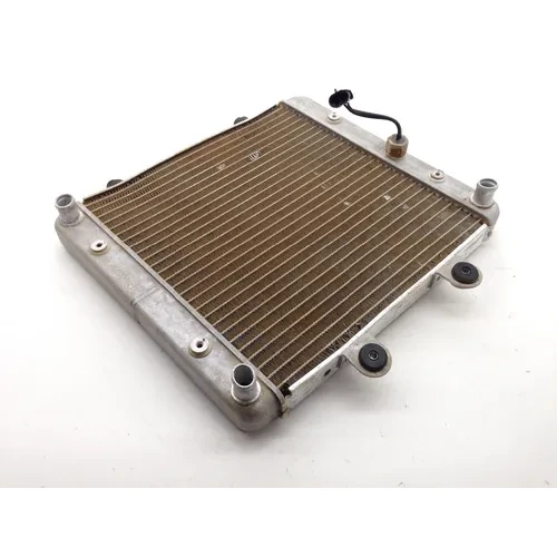 Engine Radiator Cooling 2012 Polaris Sportsman 500 4x4 HO 1972 x 9