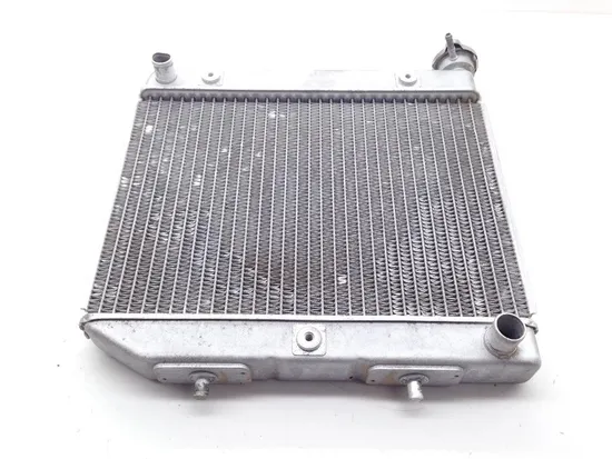 TRX 450ER Engine Radiator Cooling From 2007 Honda