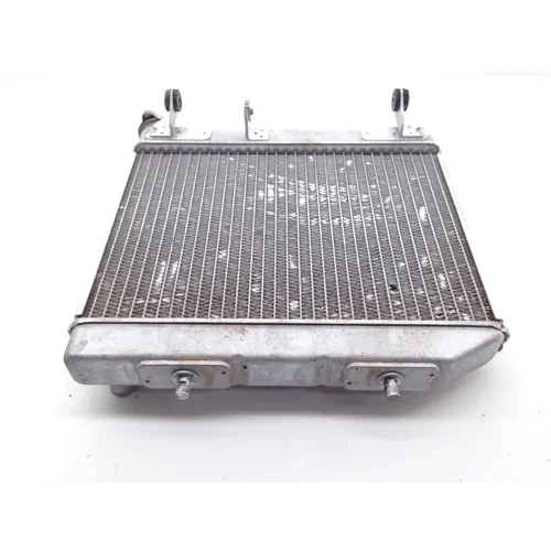 TRX 450ER Engine Radiator Cooling From 2007 Honda 7