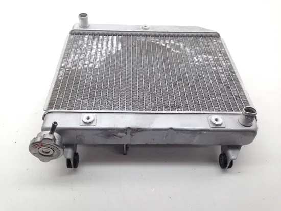 TRX 450ER Engine Radiator Cooling From 2007 Honda