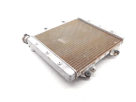 Engine Radiator Cooling 2011 Kawasaki Teryx 750 KRF750R 4x4 LE FI 1979